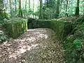 Artilleriestellung Bannwald 2 A 6961