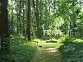 Am Eingang zum Erbfriedhof (2007)