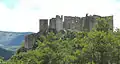 Burgruine