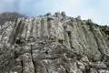 Basaltsäulen bei Gásadalur.