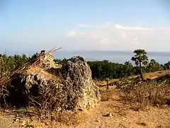 Blick auf die Küste bei der Stadt Baucau