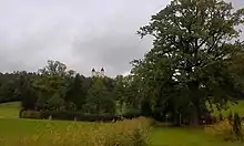 Die Baumgruppe in Maria Plain