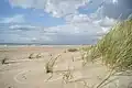 Jammerbucht bei Blokhus