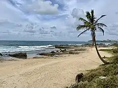 Strand von Mooloolaba