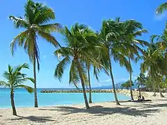 Strand von Sainte-Anne auf Grande-Terre