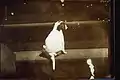 Beagle&nbsp;(?) saß im Freien auf einer Steintreppe, mit dem Rücken zur Kamera. Der Rock einer knienden Frau in der Nähe des Hundes ist links sichtbar (ca. 1905 bis 1910)