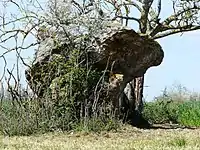 Dolmen von Peyre Nègre