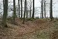 Wälle/ Mauerreste des Hauptturms, Ansicht von Osten.