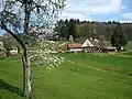 Beim Vogt auf Mühlstein (3.&nbsp;Etappe)