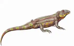 Zwei Reptilienarten mit typischem „Echsenhabitus“, die mit den Lacertiliern eher entfernt verwandt sind. Links: Nilkrokodil (Crocodylus niloticus). Rechts: † Belebey vegrandis (Lebendrekonstruktion), ein Vertreter der Parareptilien aus dem Perm von Russland.