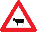 A29: Viehtrieb