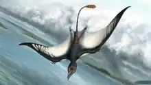Zeichnung eines lebenden Bellubrunnus im Flug