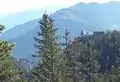 Die Plattform auf dem Burgfelsen von Norden, links sieht man den tiefer gelegenen Felsen von Hohentrins.