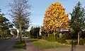 Strassebild im Herbst