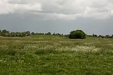 Die beiden Warften der ehemaligen Beningaburg Wirdum