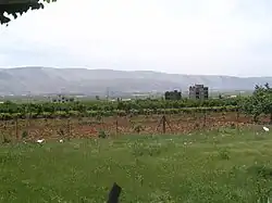 Weinbau im Distrikt Zahlé