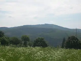 Der Giebelberg im Giebelwald