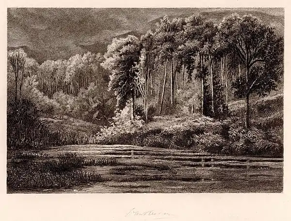 Nahendes Gewitter am Nordwesthang des Bergmassivs Gedé-Pangrango unweit des kleinen Dorfes Sindanglaya in einer Meereshöhe von etwa 1000 Meter. Dieses stimmungsvolle Bild ist ein im Jahre 1882 mit höchster Genauigkeit gefertigter Stahlstich. Ein Blitz lässt die hellen Stämme der Rasamala-Bäume weiß aufleuchten. Erste Windböen kräuseln das Wasser des Teichs.
