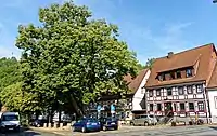 Bergstadtlinde im ehemaligen Ortszentrum