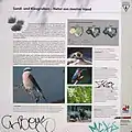 Informationstafel zur Kiesgrube
