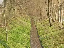 Bild des Schwarzen Grabens, der im Vordergrund gradlinig als kleines Rinnsal verläuft, im Hintergrund ist eine Kurve nach Links erkennbar. Die Hänge des Grabens sind mit Wiese bedeckt und werden jeweils von einer ausgewachsenen Baumreihe begrenzt.