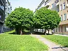 Bautzener Platz