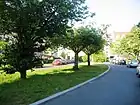 Steinacher Straße