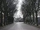 Colditzstraße