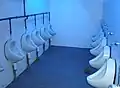 Toiletten