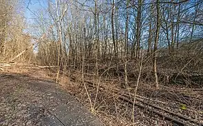 Überreste der Bahnsteiganlage, 2021