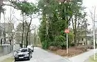 Bernadottestraße