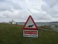 In den Küstengebieten siedeln Otter