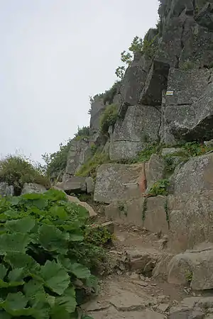 Kletterhilfen