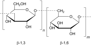 Beta-1,3-1,6-glucan.png