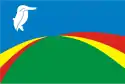 Flagge des Ortes Biddinghuizen