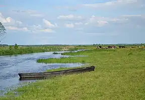 Biebrza Flusstal im Sommer