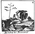 Bielebohaltar gezeichnet von Karl Benjamin Preusker 1841