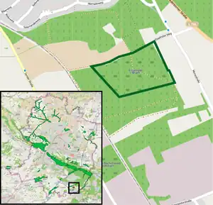 Blick in den östlichen Abschluss des Esselhofer Bruches