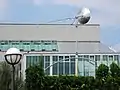 Windspiel oder Studie über das Selbst, Erich Wiesner
