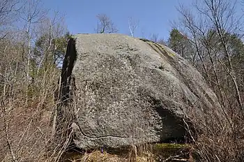Agassiz-Rock