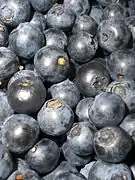 Blaubeere (Heidelbeere)