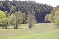 Die Gleiritsch bei Lampenricht