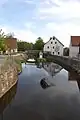 Die Murach in Teunz