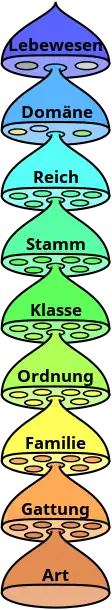 Biological classification de