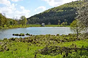 Biotop Kohlstattbrunnenweiher am Stausee