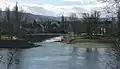 Birsmündung in den Rhein