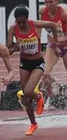Birtukan Fente hatte sich für das Finale qualifiziert, trat jedoch nicht&nbsp;an