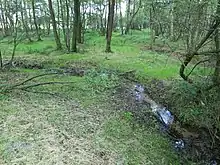Haverbeeke vor der Vereinigung mit der trocken liegenden Wümme (hinten)