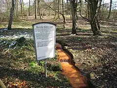 Eisenocker führende Quellen im östlichen Rombergpark