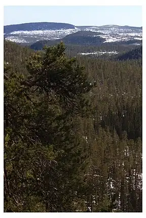 Landschaft im Nationalpark Björnlandet